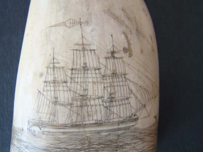 A fine 19th century Scrimshawed Whale's Tooth depicting a whale hunt — image 3